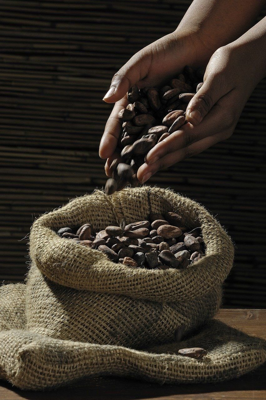 cocoa beans, hands, sack-499970.jpg